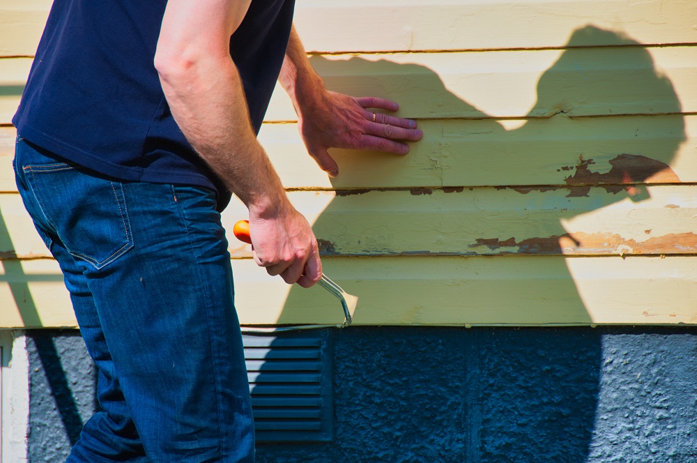 Man Checking Old Paint on House  