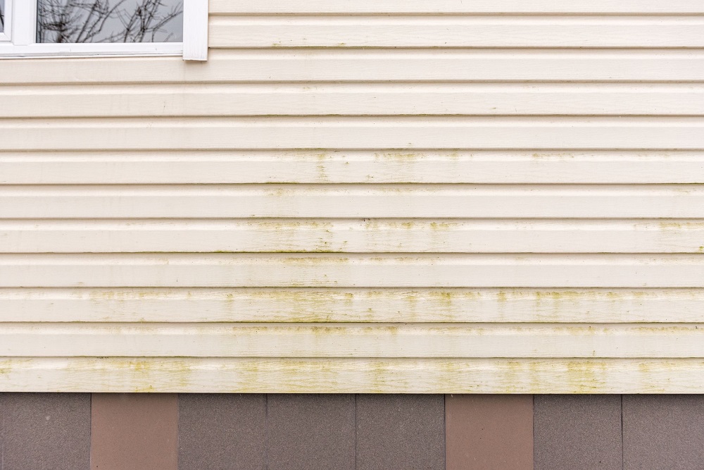 Guide to Cleaning Mildew on Exterior Painted Surfaces