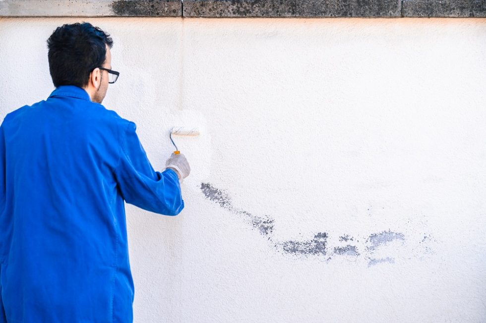 The Value of Hiring a Professional Painter Fillo Painting & Exteriors